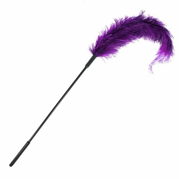 Plunksna kutenimui Purple