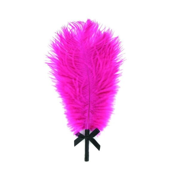 Malonumo dėžutė dAmour Black/Pink - Image 3