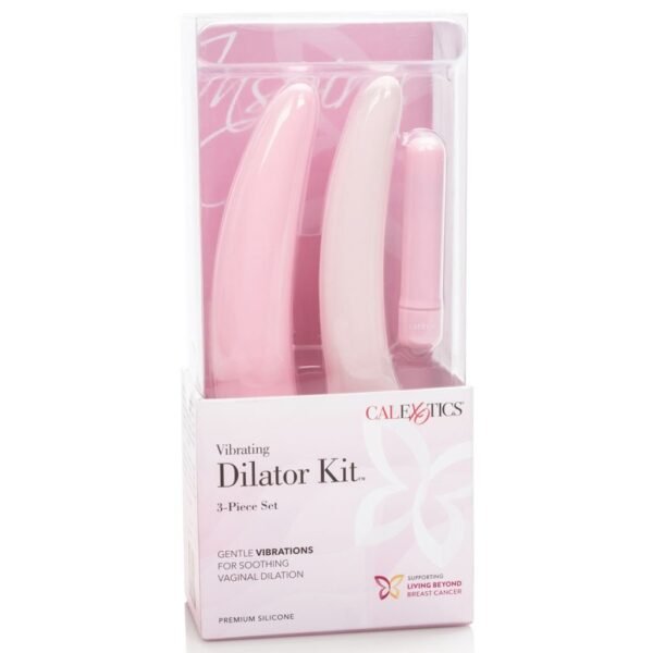 Dviejų dalių miniatiūrinių dildo rinkinys - Image 2